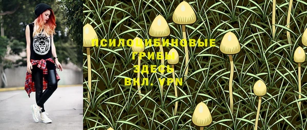 Альфа ПВП Алексин