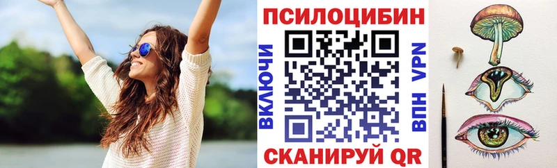 закладка  mega ТОР  даркнет как зайти  Якутск  Псилоцибиновые грибы Magic Shrooms 